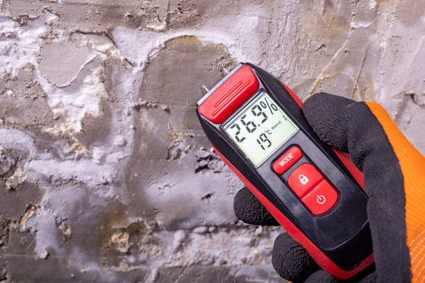 Best Mold Remediation  in St Augustine Beach, FL