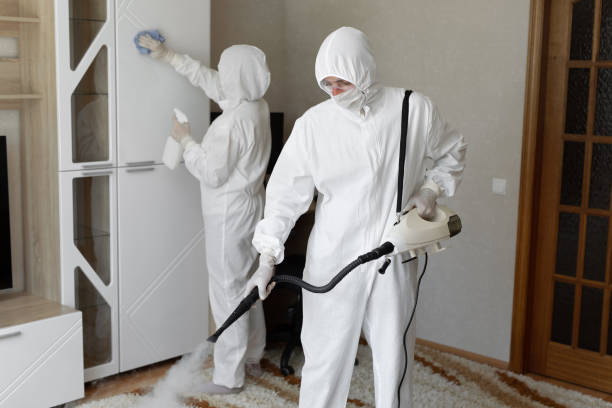Best Toxic Mold Removal  in St Augustine Beach, FL