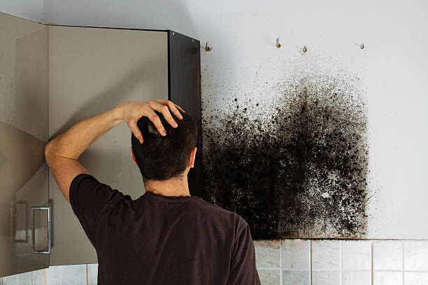 Best Crawl Space Mold Removal  in St Augustine Beach, FL